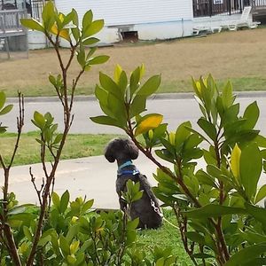 Meet your Posher, Barbara